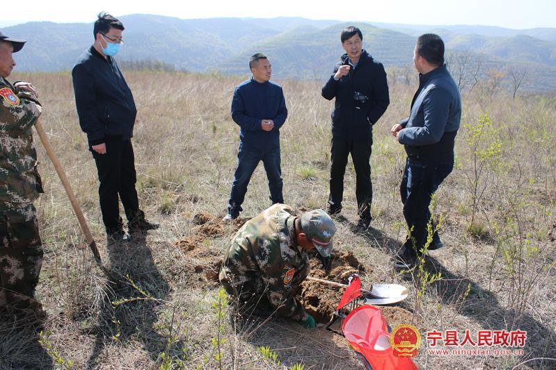 梁掌林场最新交通动态报道