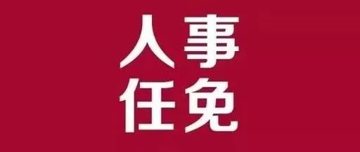 北辰区审计局人事任命揭晓，塑造未来审计格局的关键一步