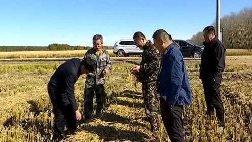 洮南市农业农村局最新动态报道