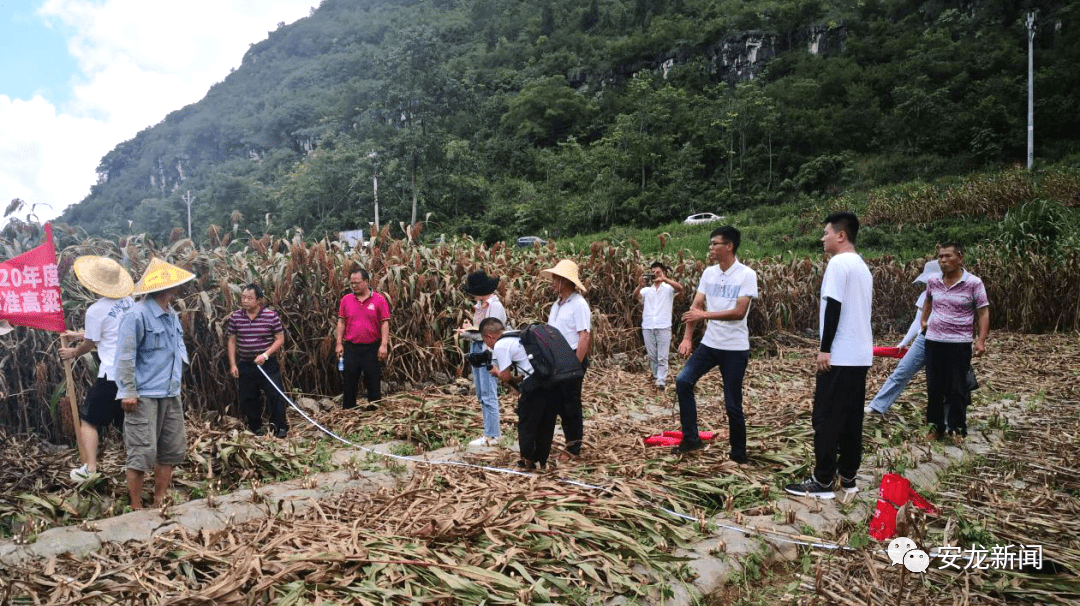 庄浪县农业农村局新项目推动农业现代化助力乡村振兴