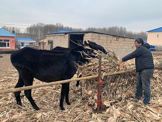 科尔沁右翼前旗住建局最新项目进展报告概览